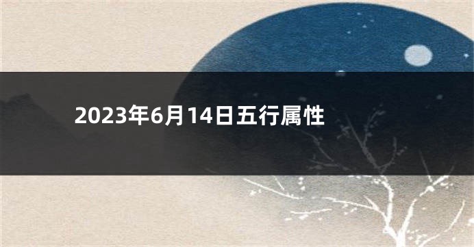 2023年6月14日五行属性