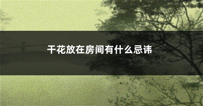 干花放在房间有什么忌讳