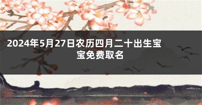 2024年5月27日农历四月二十出生宝宝免费取名