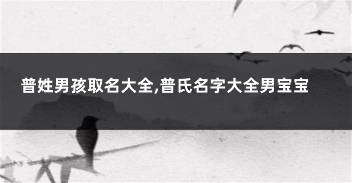 普姓男孩取名大全,普氏名字大全男宝宝