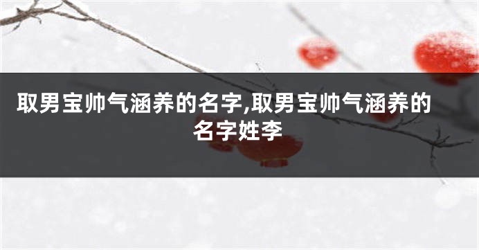 取男宝帅气涵养的名字,取男宝帅气涵养的名字姓李