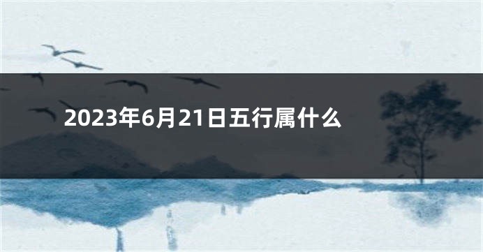 2023年6月21日五行属什么