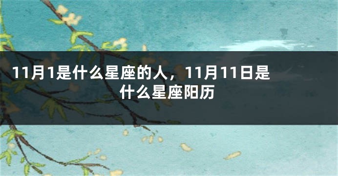 11月1是什么星座的人，11月11日是什么星座阳历