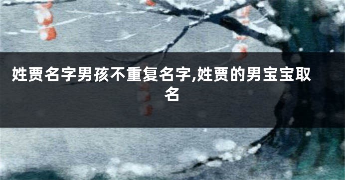 姓贾名字男孩不重复名字,姓贾的男宝宝取名