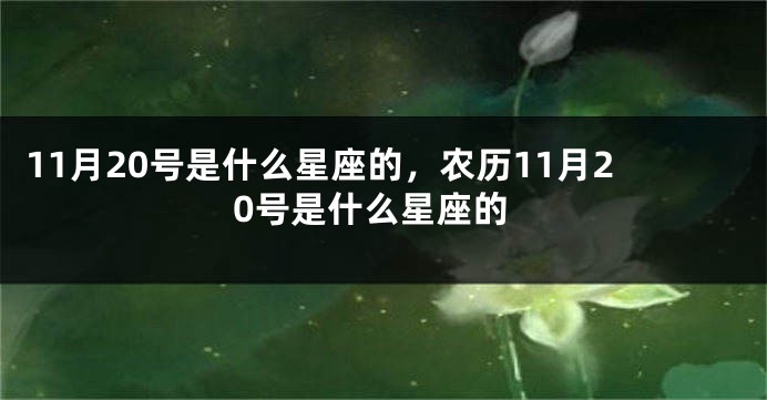 11月20号是什么星座的，农历11月20号是什么星座的