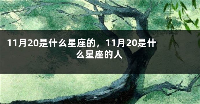 11月20是什么星座的，11月20是什么星座的人