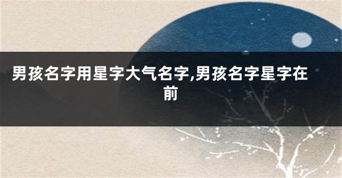 男孩名字用星字大气名字,男孩名字星字在前