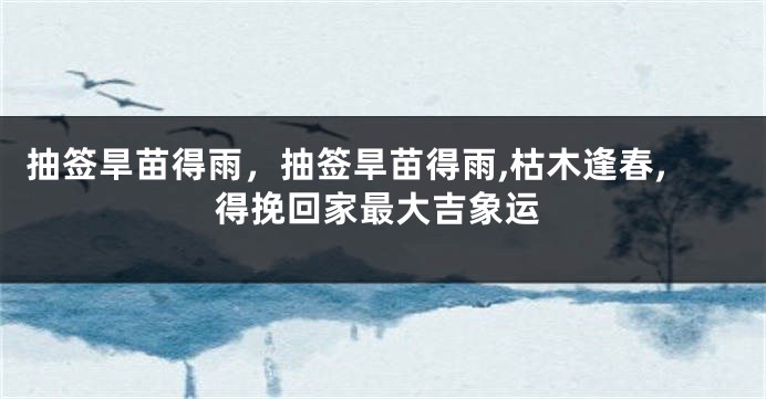 抽签旱苗得雨，抽签旱苗得雨,枯木逢春,得挽回家最大吉象运