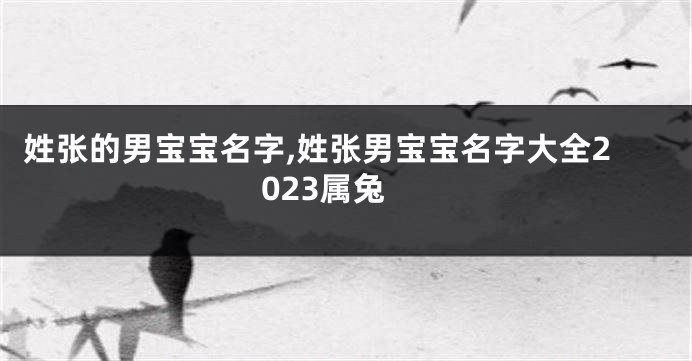 姓张的男宝宝名字,姓张男宝宝名字大全2023属兔