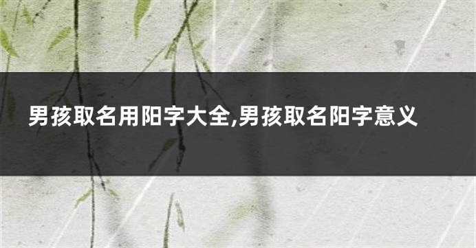 男孩取名用阳字大全,男孩取名阳字意义