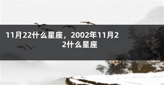 11月22什么星座，2002年11月22什么星座