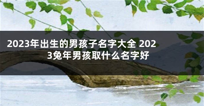 2023年出生的男孩子名字大全 2023兔年男孩取什么名字好