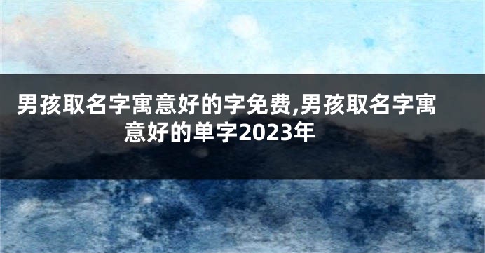 男孩取名字寓意好的字免费,男孩取名字寓意好的单字2023年