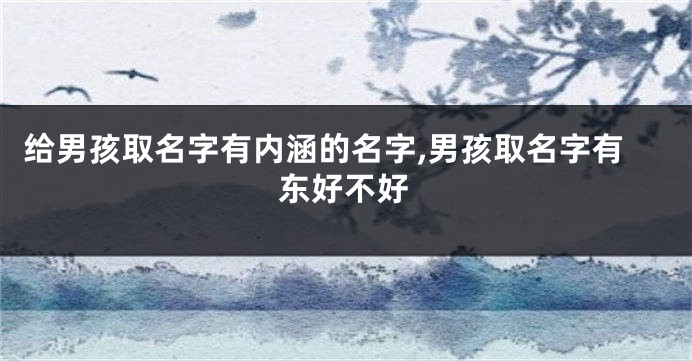 给男孩取名字有内涵的名字,男孩取名字有东好不好