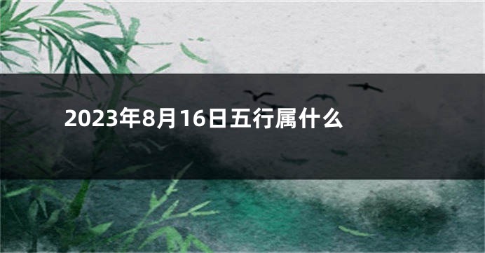 2023年8月16日五行属什么