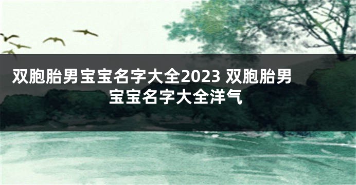 双胞胎男宝宝名字大全2023 双胞胎男宝宝名字大全洋气