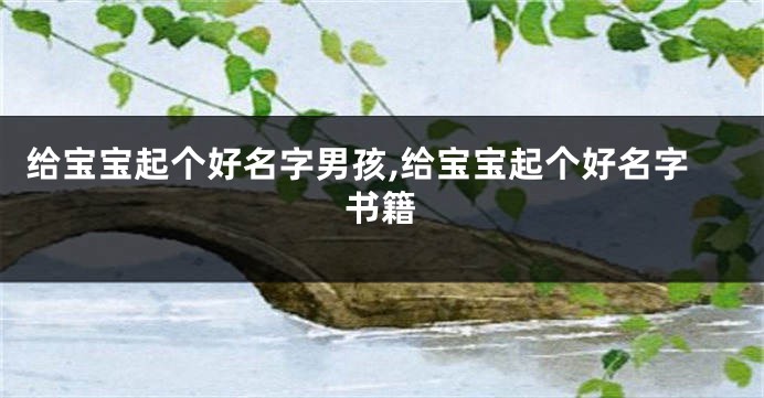 给宝宝起个好名字男孩,给宝宝起个好名字书籍