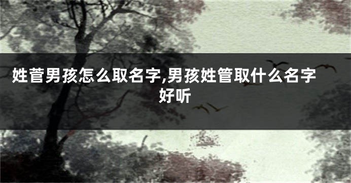 姓菅男孩怎么取名字,男孩姓管取什么名字好听