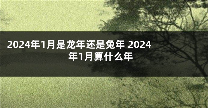 2024年1月是龙年还是兔年 2024年1月算什么年