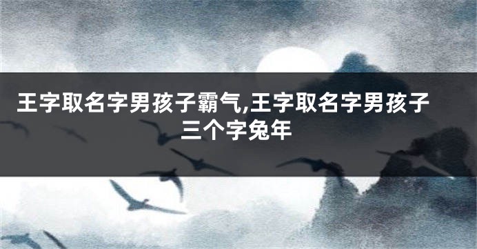 王字取名字男孩子霸气,王字取名字男孩子三个字兔年