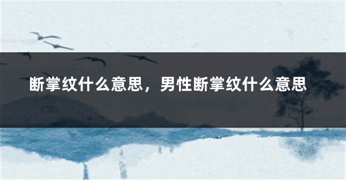 断掌纹什么意思，男性断掌纹什么意思