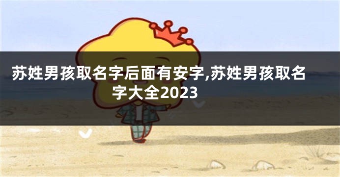 苏姓男孩取名字后面有安字,苏姓男孩取名字大全2023