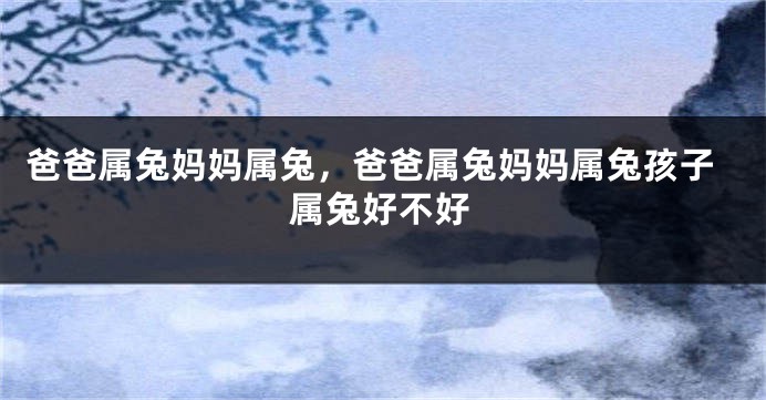 爸爸属兔妈妈属兔，爸爸属兔妈妈属兔孩子属兔好不好