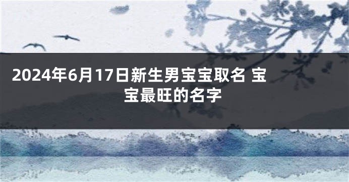 2024年6月17日新生男宝宝取名 宝宝最旺的名字