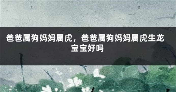 爸爸属狗妈妈属虎，爸爸属狗妈妈属虎生龙宝宝好吗