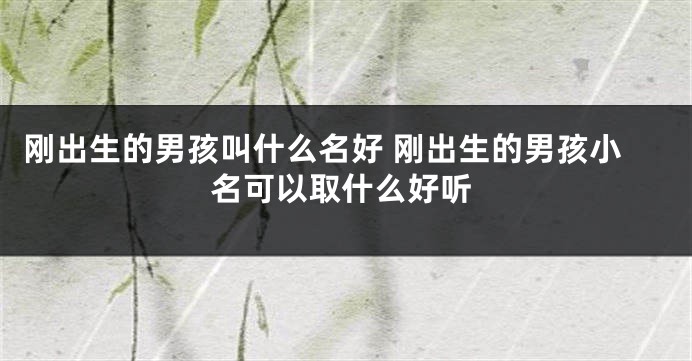 刚出生的男孩叫什么名好 刚出生的男孩小名可以取什么好听