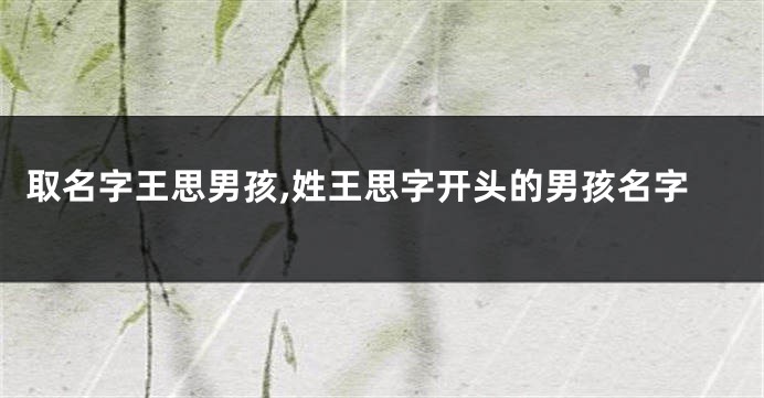 取名字王思男孩,姓王思字开头的男孩名字