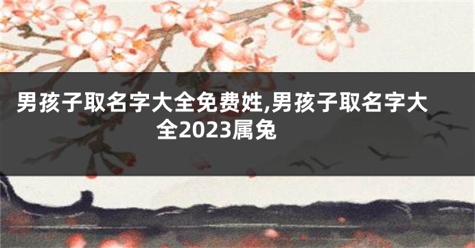 男孩子取名字大全免费姓,男孩子取名字大全2023属兔