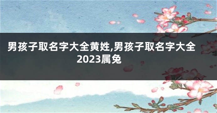 男孩子取名字大全黄姓,男孩子取名字大全2023属兔