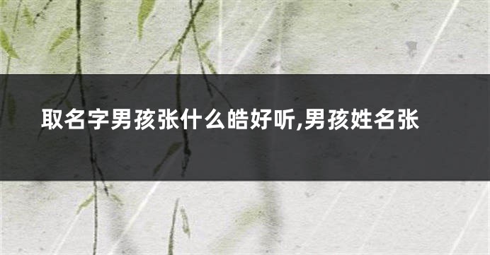 取名字男孩张什么皓好听,男孩姓名张