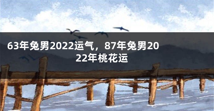 63年兔男2022运气，87年兔男2022年桃花运