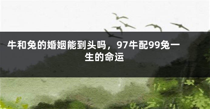 牛和兔的婚姻能到头吗，97牛配99兔一生的命运