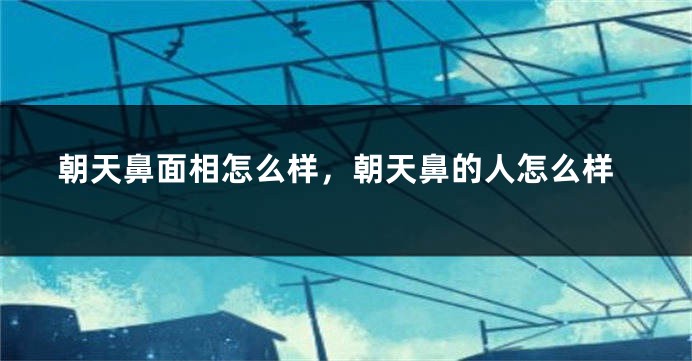 朝天鼻面相怎么样，朝天鼻的人怎么样