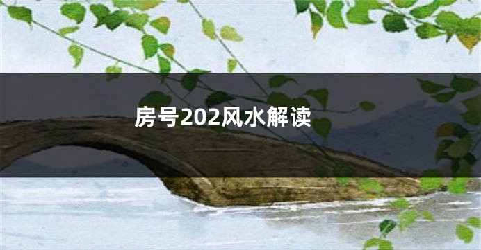 房号202风水解读