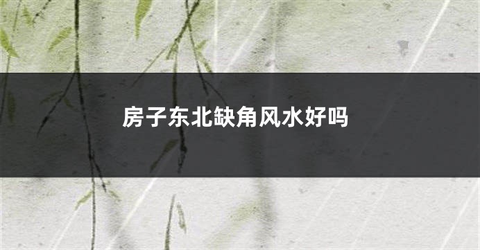 房子东北缺角风水好吗