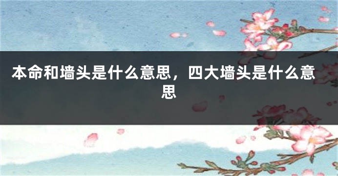 本命和墙头是什么意思，四大墙头是什么意思