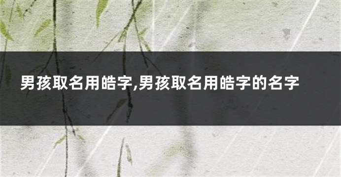 男孩取名用皓字,男孩取名用皓字的名字