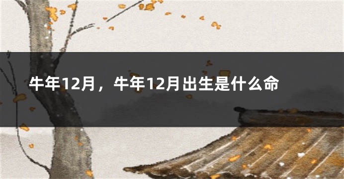 牛年12月，牛年12月出生是什么命