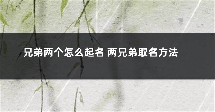 兄弟两个怎么起名 两兄弟取名方法