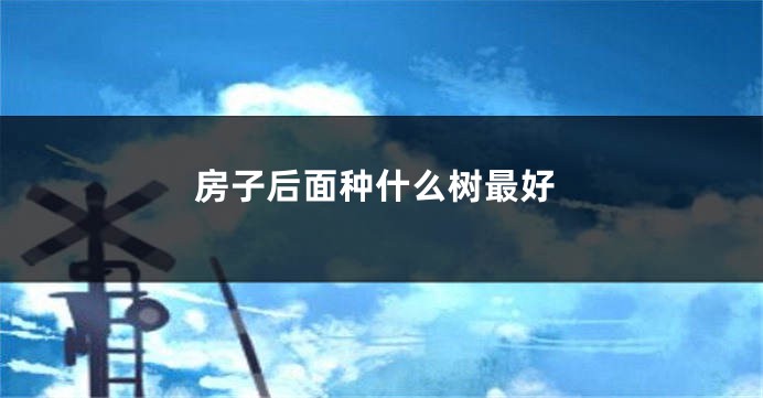 房子后面种什么树最好