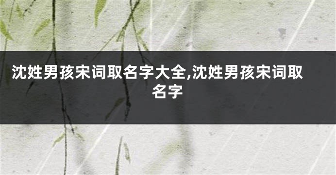 沈姓男孩宋词取名字大全,沈姓男孩宋词取名字