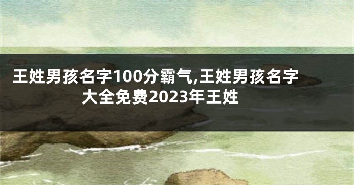 王姓男孩名字100分霸气,王姓男孩名字大全免费2023年王姓