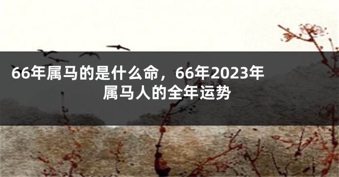 66年属马的是什么命，66年2023年属马人的全年运势