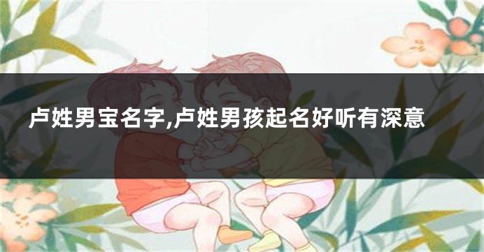 卢姓男宝名字,卢姓男孩起名好听有深意