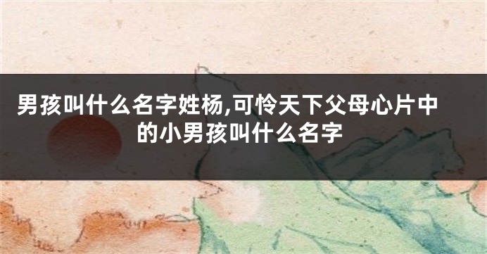 男孩叫什么名字姓杨,可怜天下父母心片中的小男孩叫什么名字