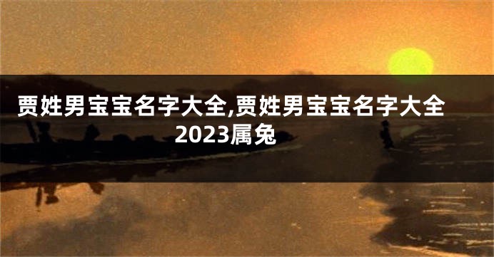 贾姓男宝宝名字大全,贾姓男宝宝名字大全2023属兔